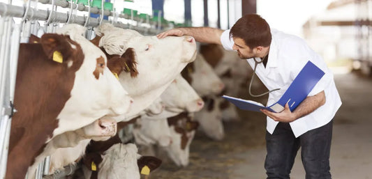 💉 Vitaminas y reproducción animal: el secreto para una producción más eficiente