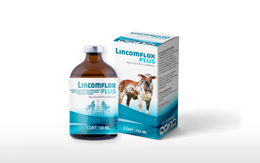 Lincomflox PLUS Inyectable  Antibiótico para Enfermedades Respiratorias en Ganado